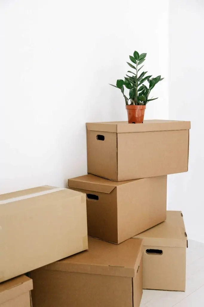 How to Choose an Eco-Friendly Moving Company Discover actionable eco-friendly moving tips that align with sustainability goals. Make your next move more environmentally friendly.