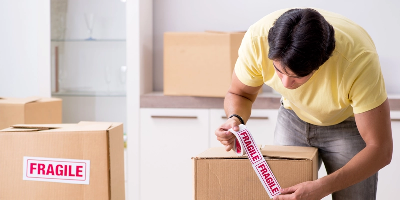 Stress-free movers, Worms packing boxes correctly